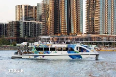 乘船观赏西贡河的旅游线路。图自越通社
