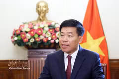 越共中央委员、外交部党委常务副书记、外交部副部长阮孟强。图自越通社