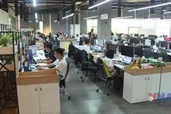 征求对越共十四大文件草案的意见：私营经济期待在新时期实现更大突破