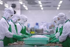 与2024年相比，2025年农林水产品出口前景亮眼。图自越通社