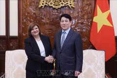 越南国家主席梁强接受埃及大使辞行拜会。图自越通社