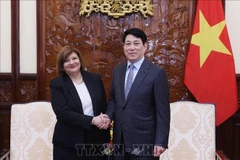 越南国家主席梁强接受埃及大使辞行拜会。图自越通社