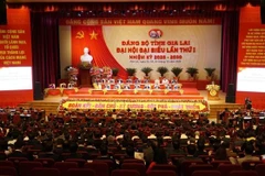 越共嘉莱省第一次代表大会闭幕式。图自越通社