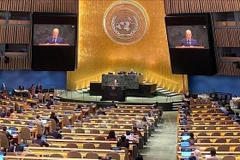 越南常驻联合国代表团副团长阮黄原公使在会上发表讲话。图自越通社