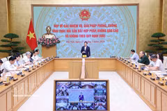 越南政府副总理陈红河发表讲话。图自越通社