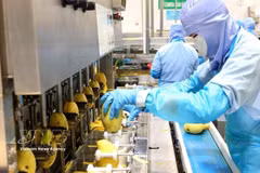 提升农产品质量 开拓更广阔市场