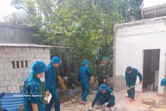 越南努力为抗战期间受化学毒剂影响人员的亲生子女消除危旧住房。图自越通社