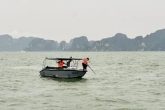 图自tienphong.vn