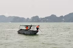 图自tienphong.vn
