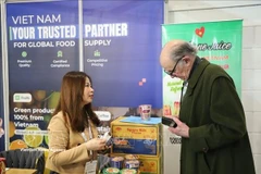 2026英国伦敦食品饮料展览会：全球食品饮料行业趋势及越南的机遇
