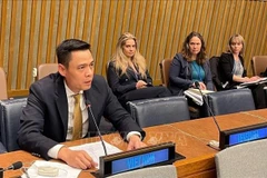 越南常驻联合国代表团团长邓黄江大使在会上发表讲话。图自越通社
