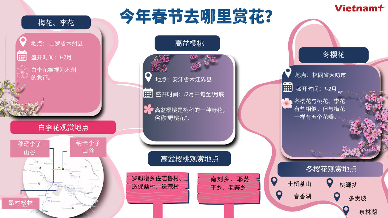 5-info-thang-1-2025-1.png