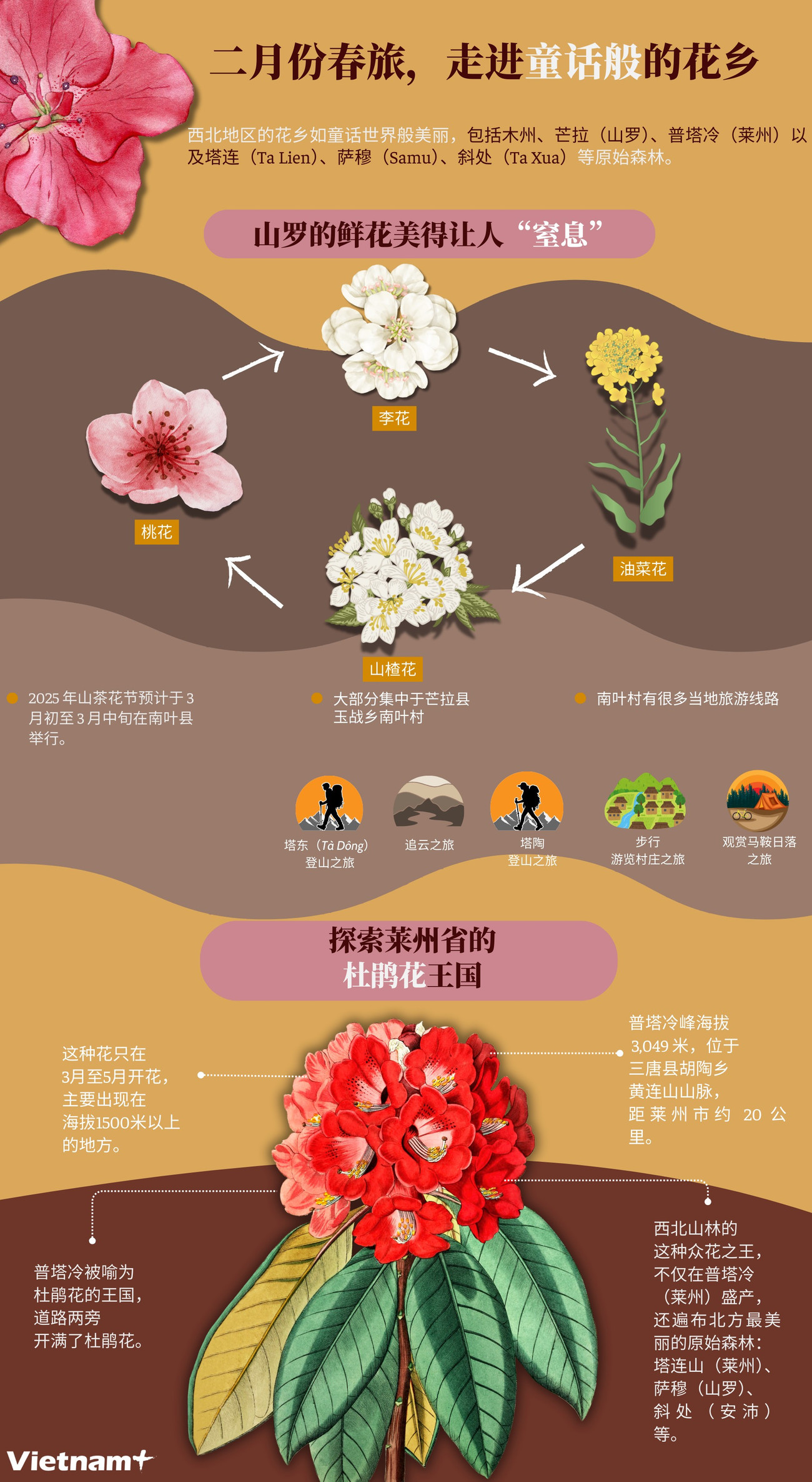 du-xuan-thang-hai-goi-y-mot-so-dia-diem-ngam-hoa.png