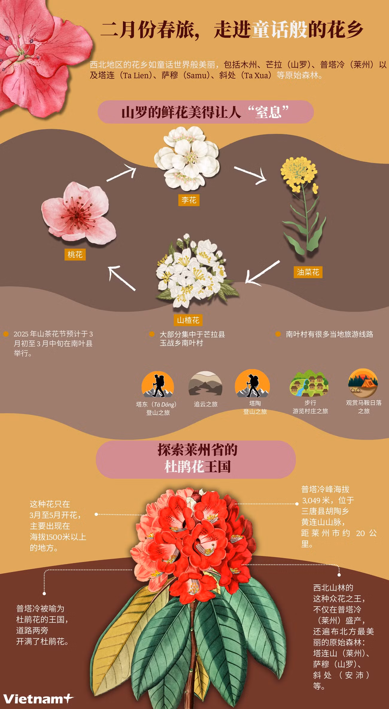 du-xuan-thang-hai-goi-y-mot-so-dia-diem-ngam-hoa.png