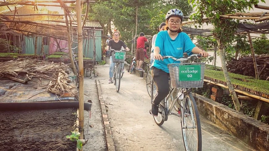 前来参观芹苴市丰田县仁义乡仁兴村种植树苗田的游客。图自Vietnam+