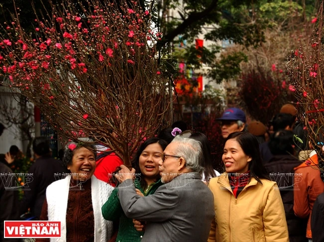 ​桃花是越南北部人民过年不可缺少的部分之一（图片来源：越通社）