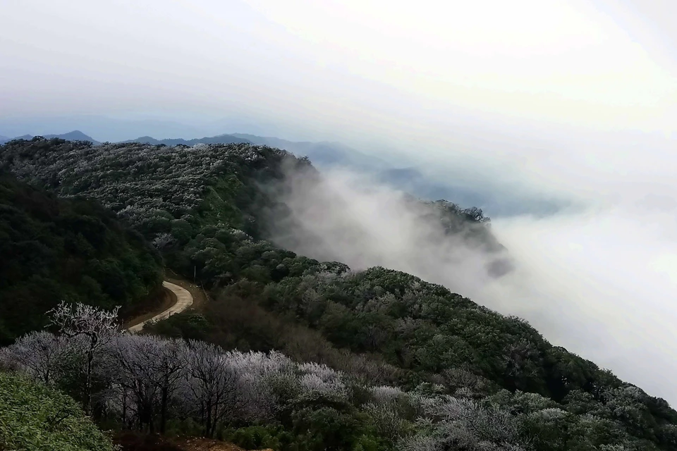 高平省高山出现结霜冰挂景象。越通社记者 国达 摄