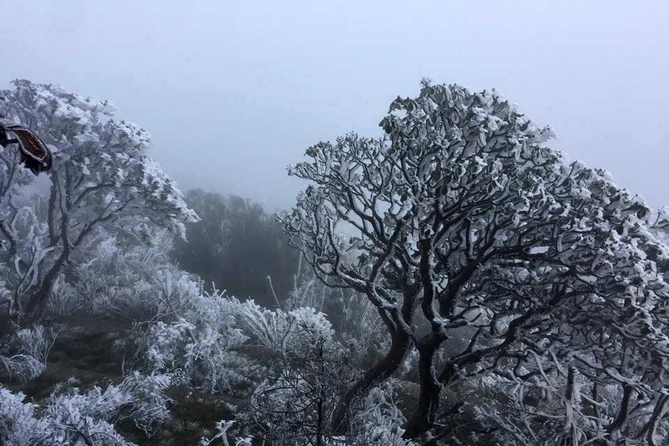 老节省沙巴县气温突然下降 部分地区出现霜冻天气。越通社记者 国庆 摄