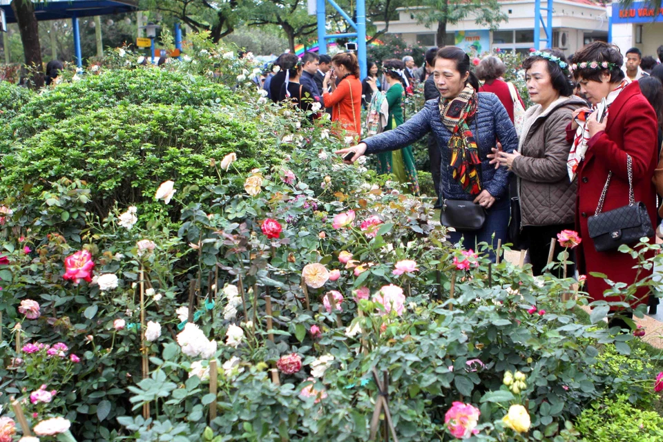 活动吸引众多当地居民和游客前来参观。越通社记者 青松 摄