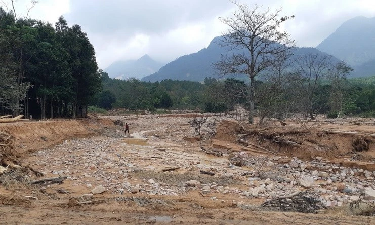 广治省向立乡到处一片狼藉的场景。图自Vietnam+