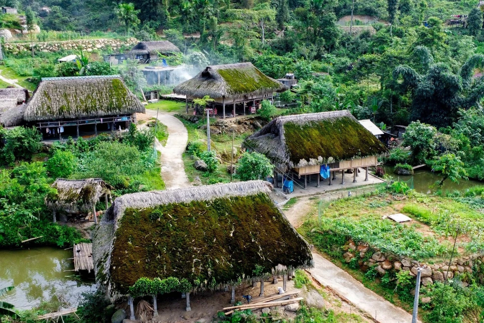 长满青苔的棕榈叶屋顶是舍平村的典型特征。图自越通社