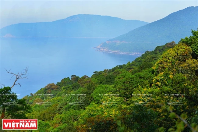 拥有清新凉爽的气候和优美的自然景观的山茶半岛长期以来已成为岘港市具有吸引力的旅游目的地之一。山茶是多种珍稀鸟类栖息的理想地。图自越通社/越南画报