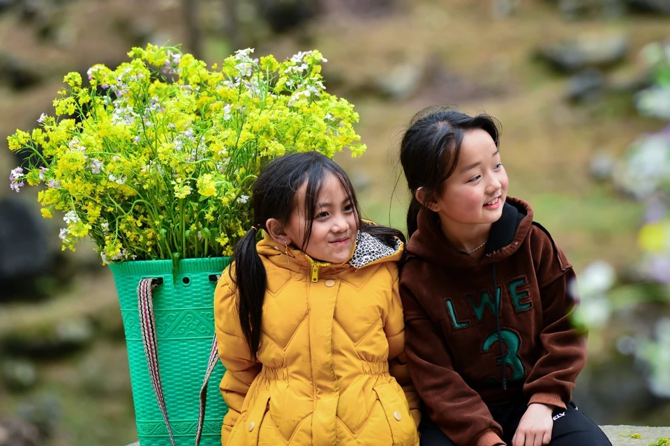 背着装满黄色油菜花篮子的孩子们在 沈马山坡上玩耍。图自 越通社