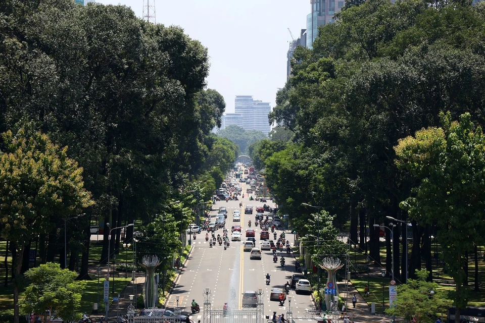 绿树成荫的黎尹街是胡志明市中心最美丽的街道之一。图自 越通社