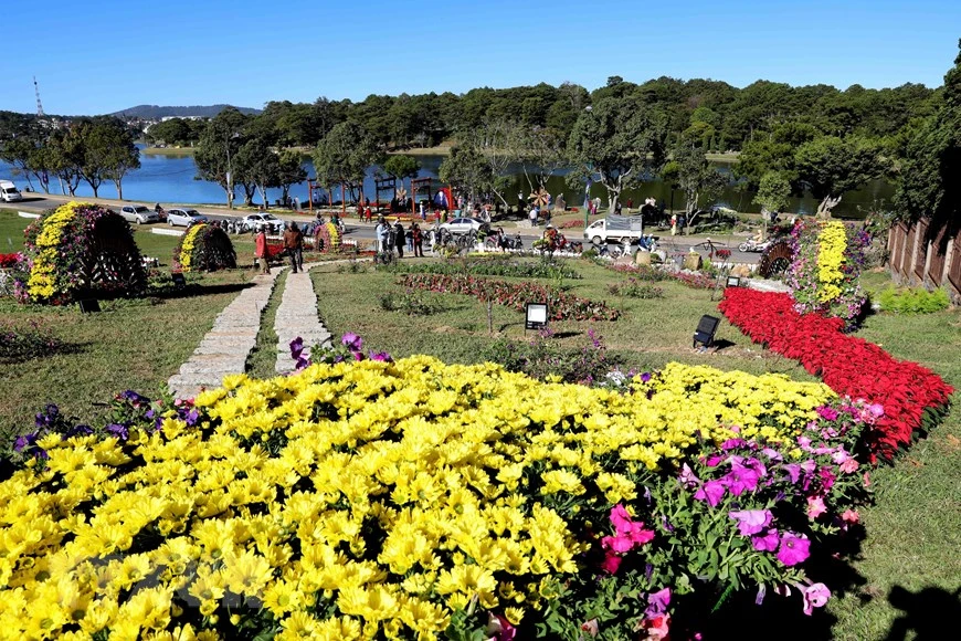 2019年大叻花卉节是游客和花卉种植者，花卉经销商见面、交流和开发与花卉相关的独特旅游服务产品的良机。图自越通社