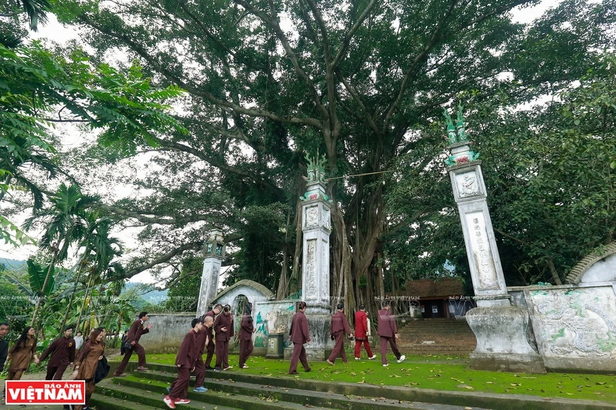 橘村古榕树屹立在伞园山圣庙院子里。《越南画报》记者 越强 摄