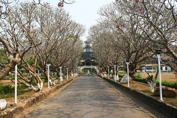 引入崑崇教会的道路。崑崇教堂于1936年起建，带有西方建筑风格和西原文化风味，是该城市的著名工程。（图片来源：越南快讯网）