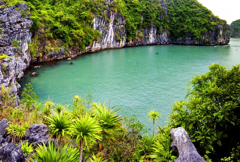 由于特殊岩溶构造，这里风景由雄伟陡峭的悬崖包围。（图片来源：广宁报）