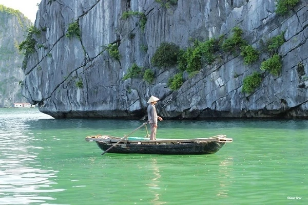 广宁省下龙湾的清平片刻。（图片来源：越南快讯网）