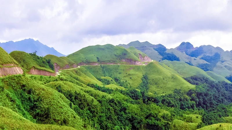 漫长的道路，草原似的绿草。（图片来源：广宁报）