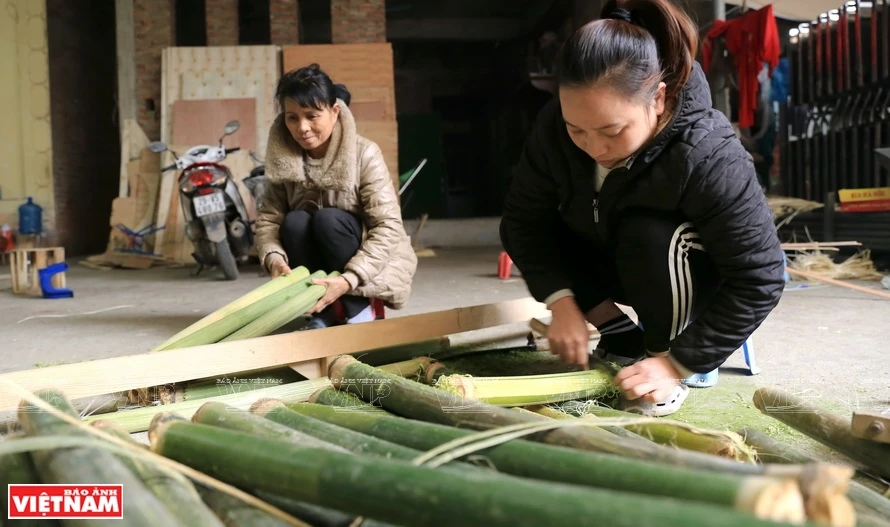 宣光、安沛和奠边三省的竹子管是平富-石舍菩提叶扇子的材料。图自越通社/越南画报