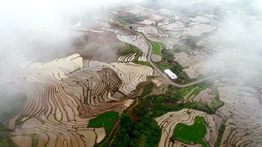 老街省巴刹边境县山区乡的梯田。图自越通社