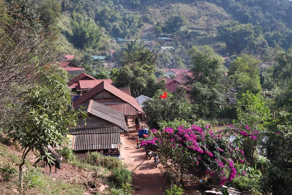 为了喜迎湖事茶传统春节，哈尼族同胞们已提前打扫和装饰住宅，让整个乡村面貌更加清洁美丽。图自 越通社