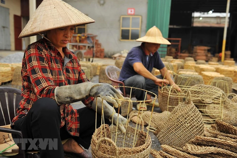 宁平省手工艺人编织篮子。越通社记者 明德 摄