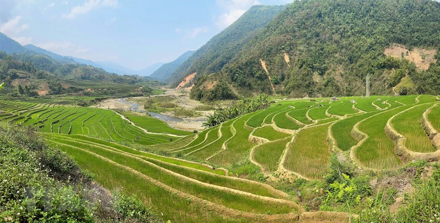 芒齐县的梯田。图片来源：越通社