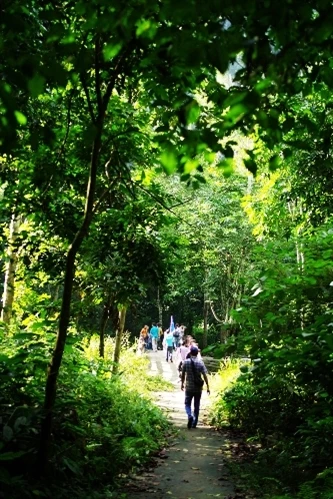 游西北地区的雄壮景色之前，游客可经过福寿省探访春山国家公园，探索当地瑶族、蒙族同胞的文化生活，瞻仰攀上1000米高的山顶风景以及探索国家公园内的山洞、瀑布、水溪之美（图片来源：vnexpress.net）