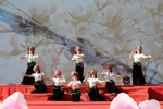 傣族群舞艺术表演节目。图自越通社