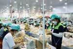 庆和省游隆工业园区一公司生产厂。图自越通社