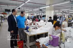 旅加越南人提出连接侨胞资源与民营经济的三项建议