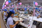 29·3 纺织服装股份公司生产链。图自越通社