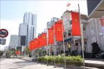 庆和省确保选举日安全如期举行。图自越通社