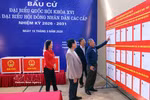 河内市巴亭坊为越南国会和各级人民议会选举准备工作基本就绪。图自越通社