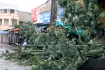 越南北部和中部地区将有大雨 海上可能出现龙卷风