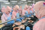 2025年越南水产品出口增长可达10-15%