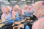 2025年越南水产品出口增长可达10-15%