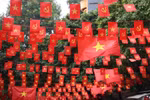 附图 图自Vietnam+